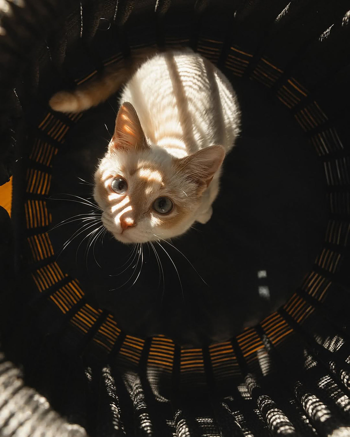 PERLA CAT CAVE | מיטה לחתול