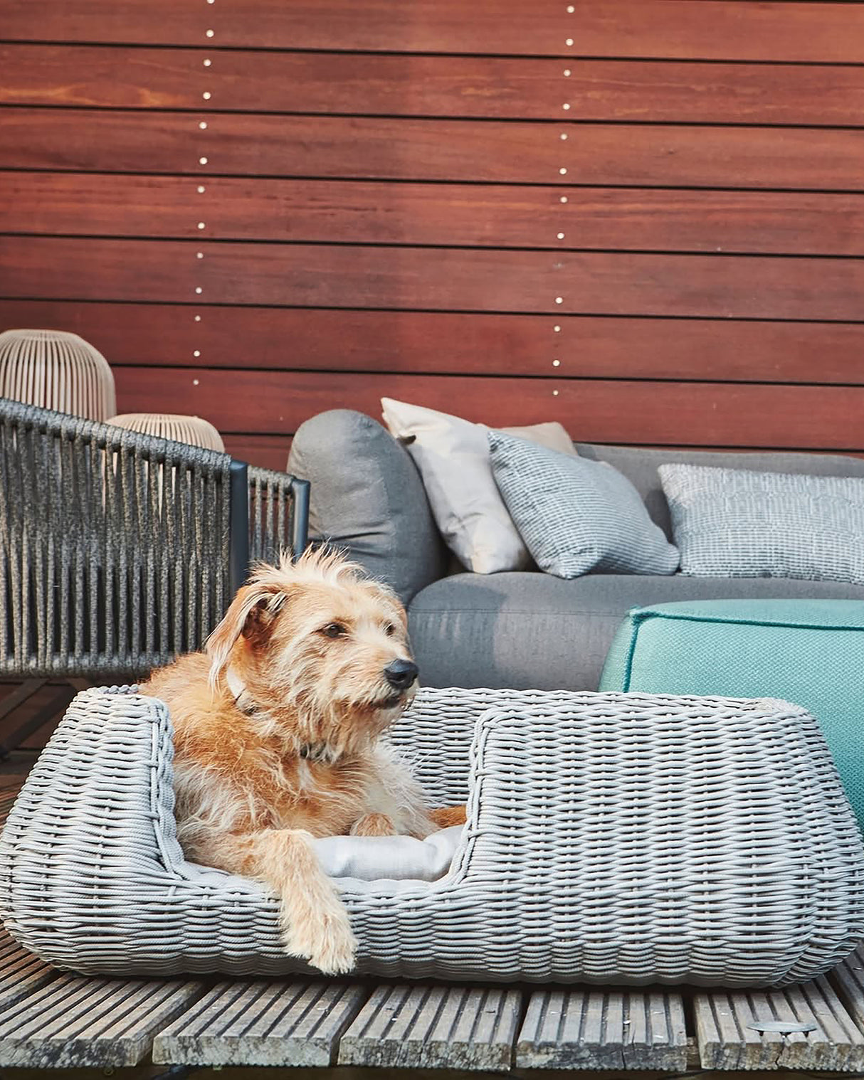 MIO ROPE DOG BED BASKET | מיטת פנים וחוץ לכלבים