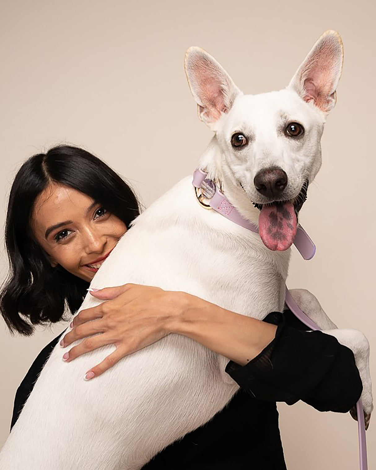 Crystal Walk Set For Dogs | סט רצועה וקולר משובץ אבן קריסטל