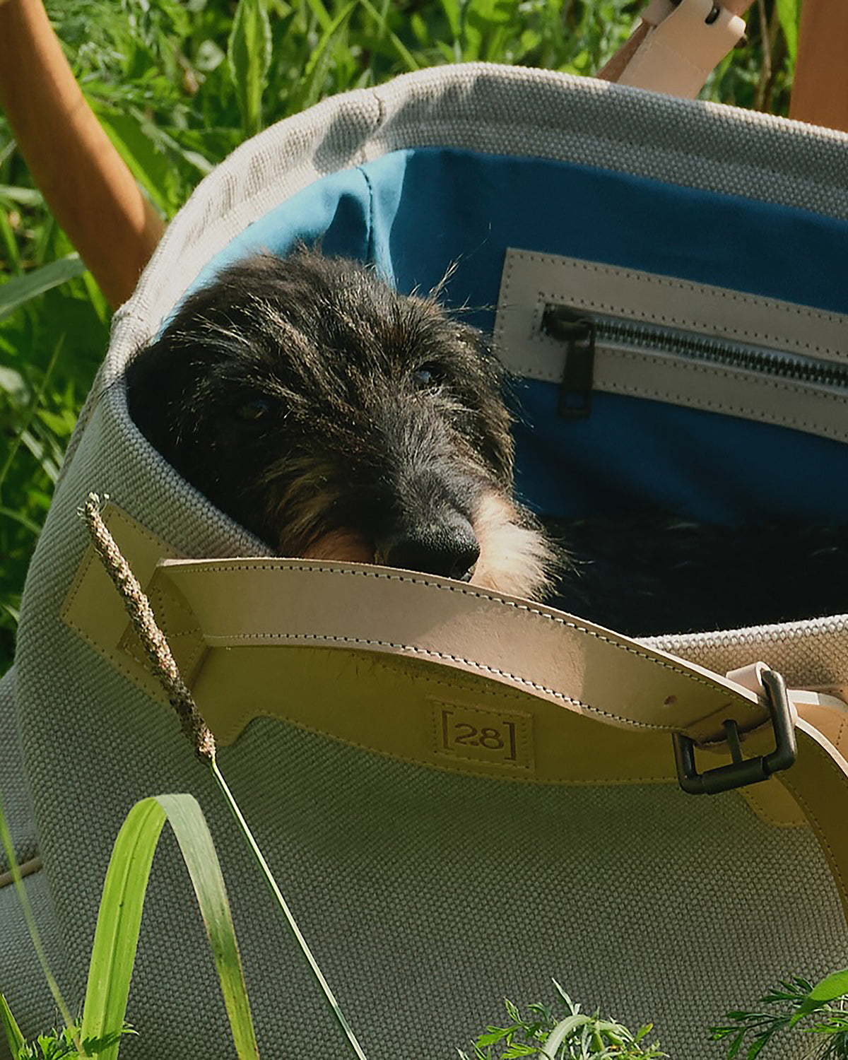 MARGARET ORGANIC COTTON DOG BAG | תיק נשיאה לכלב או תיק לבעלים
