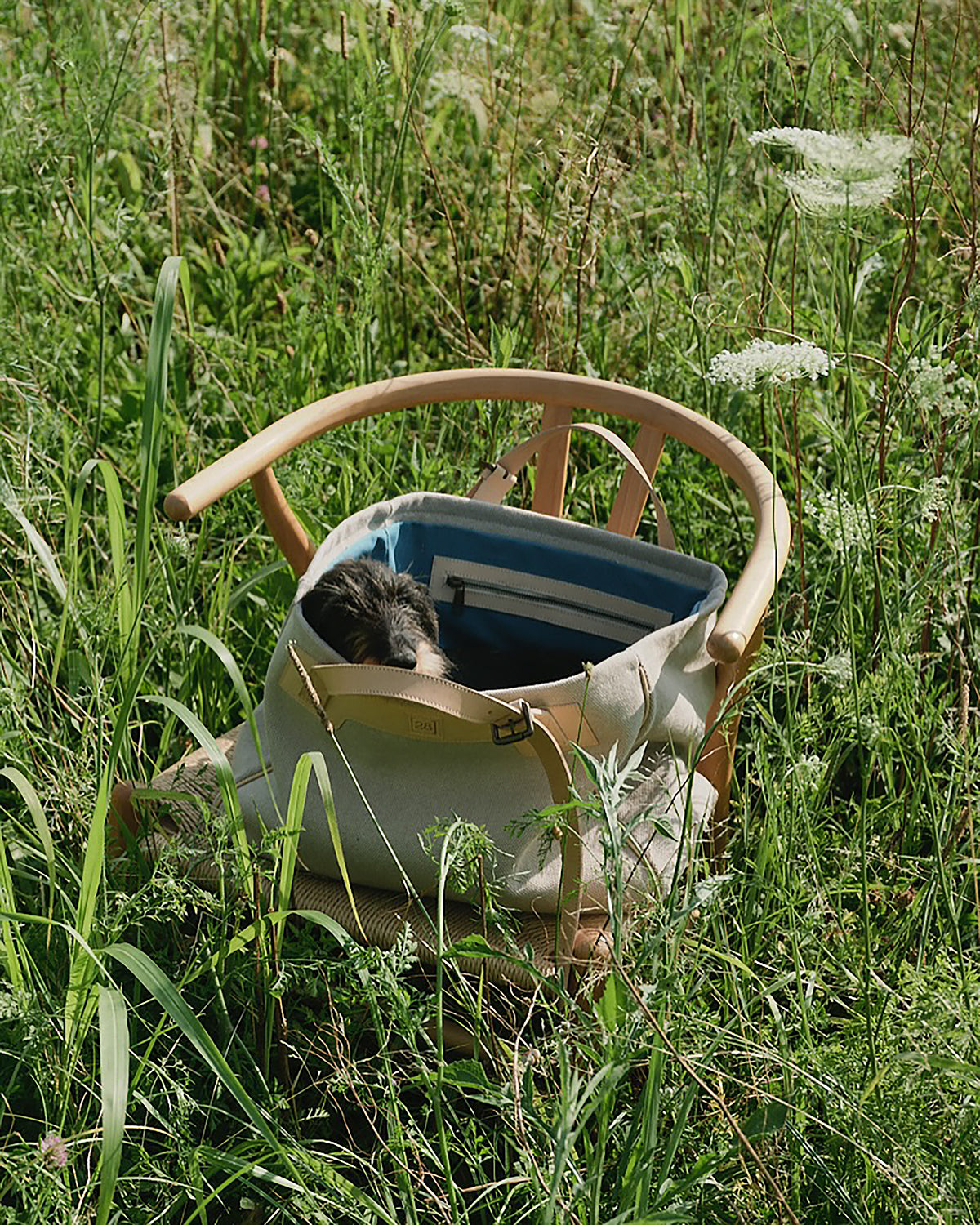 MARGARET ORGANIC COTTON DOG BAG | תיק נשיאה לכלב או תיק לבעלים