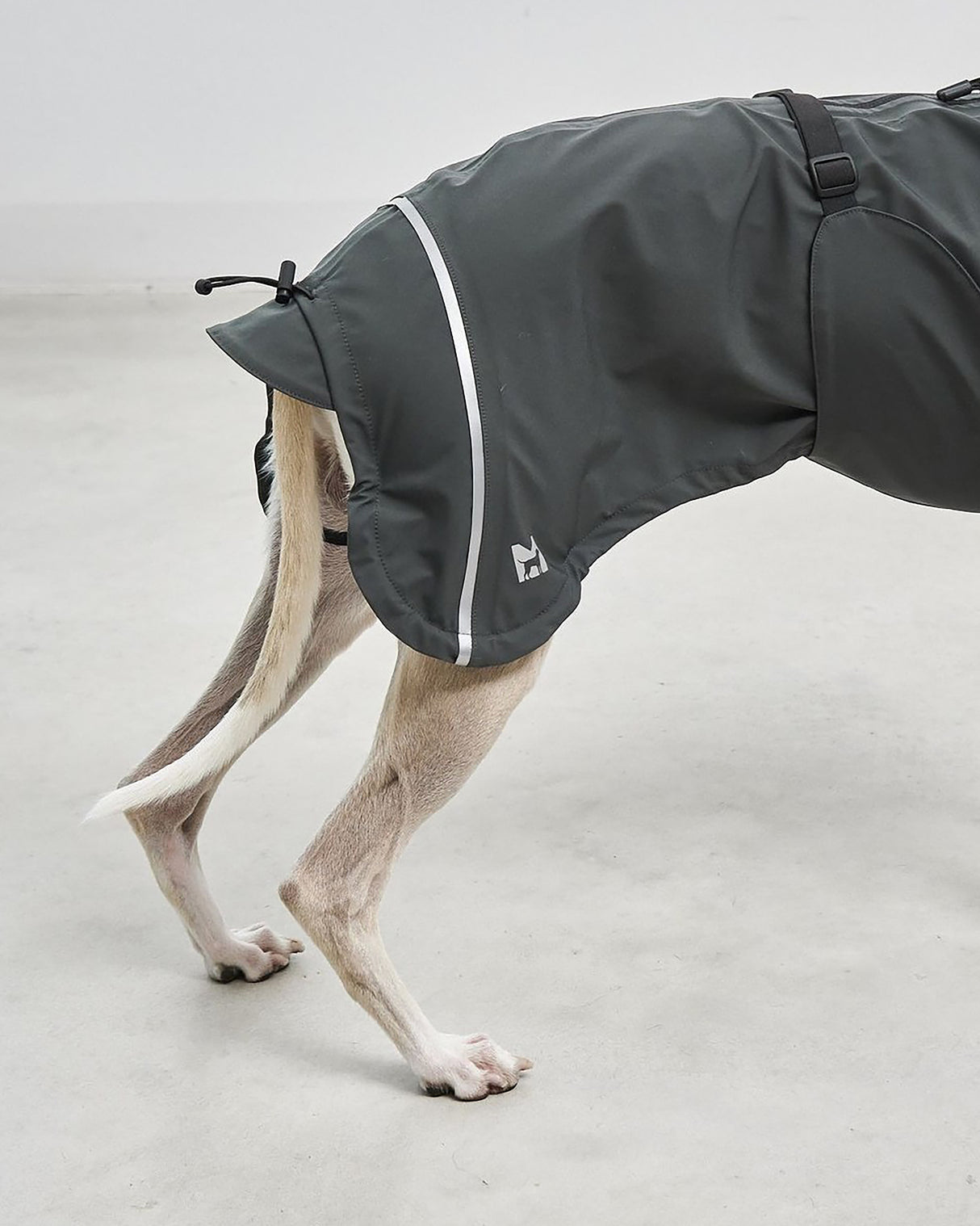 VALENTINA DOG RAINCOAT | מעיל גשם ורוח לכלב