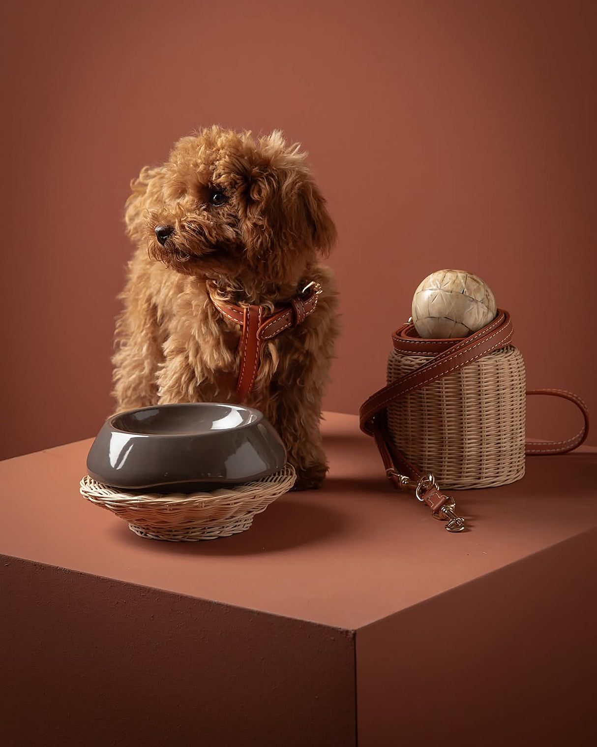 SARAH DOG & CAT CERAMIC BOWLS | קערות קרמיקה לכלבים ולחתולים