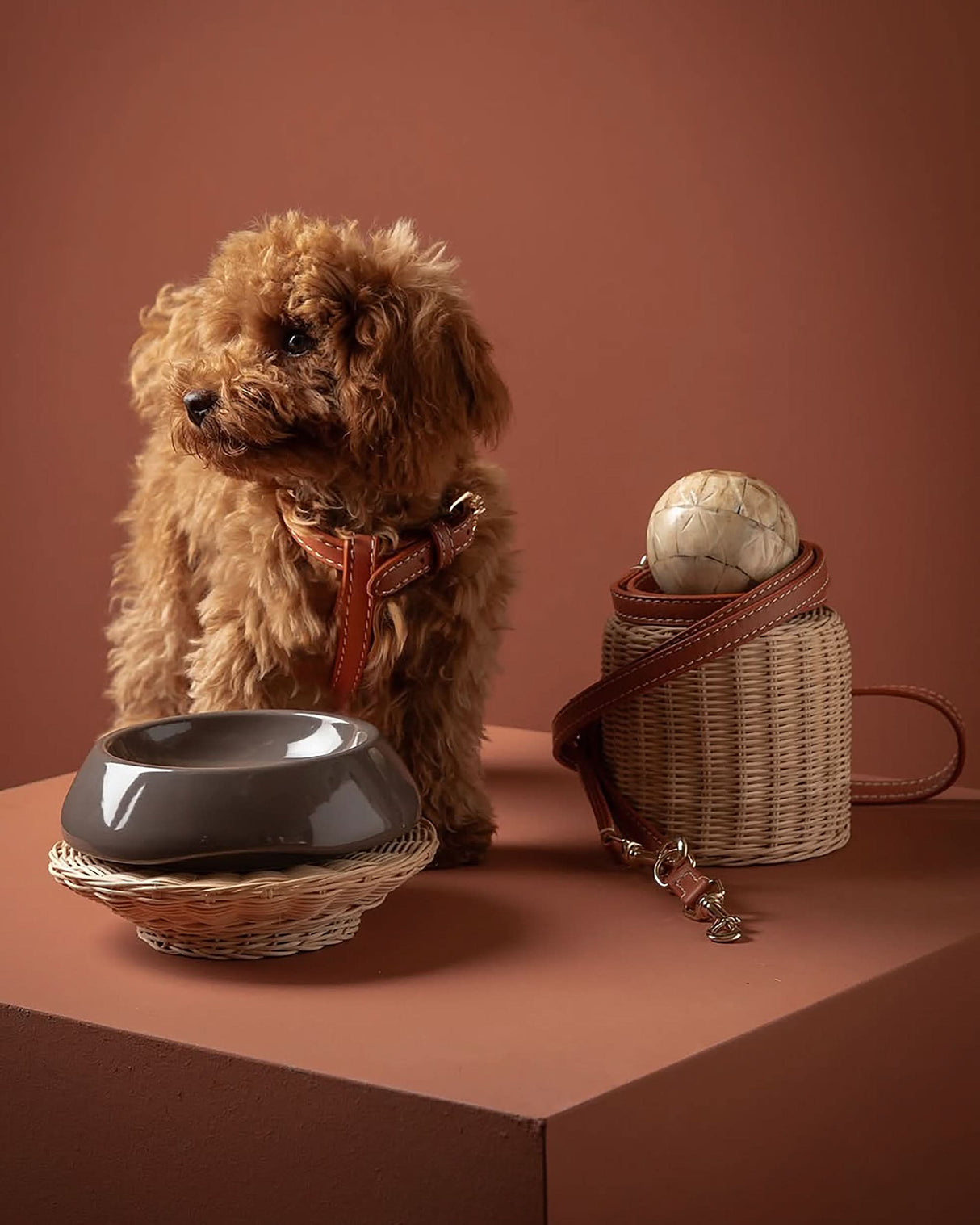 GABRIELE FREE-HANDS LONG LEATHER DOG LEASH | רצועת עור ארוכה ומתכווננת לכלבים