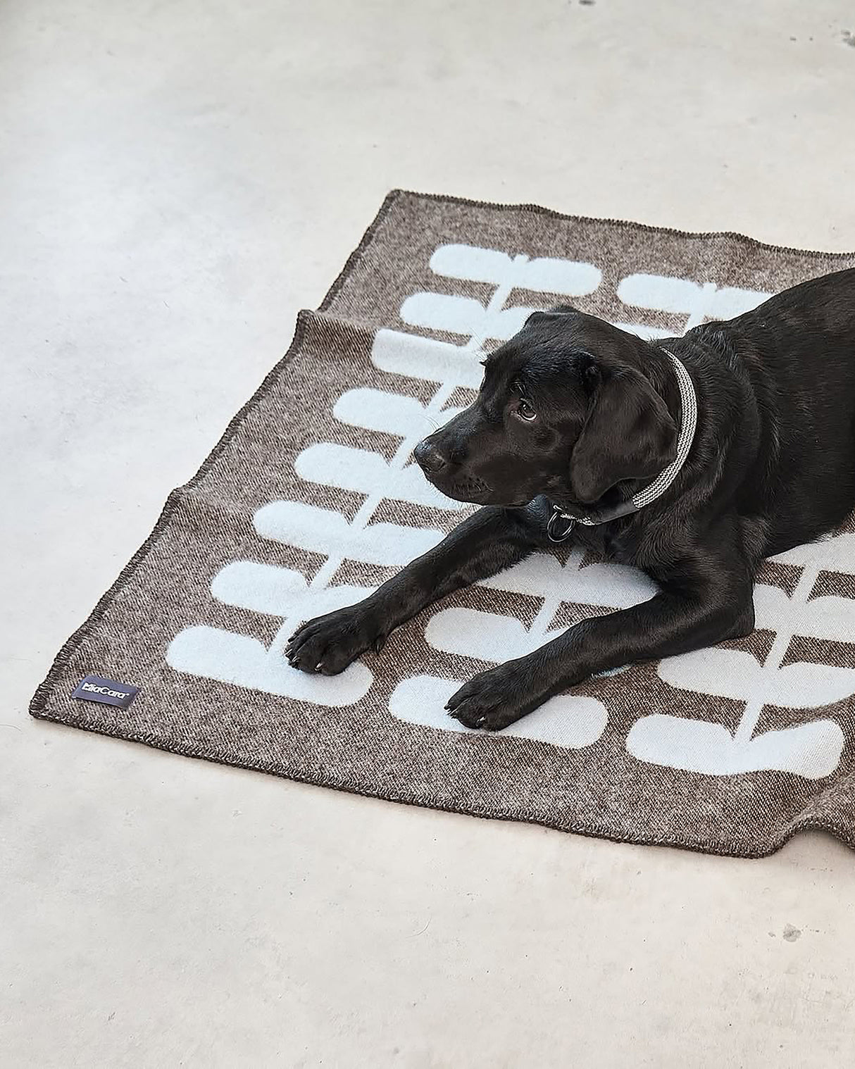 FLORA DOG WOOL BLANKET | שמיכה לכלב