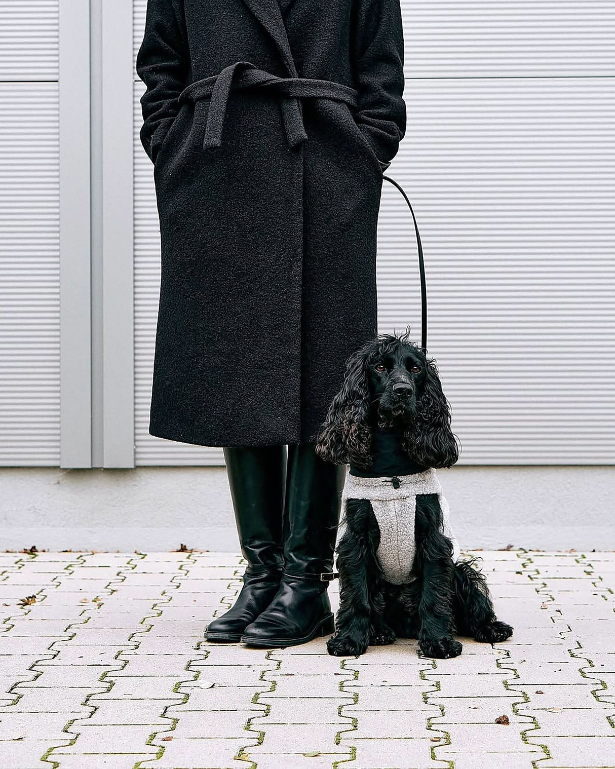 EMILIA DOG COAT | מעיל לכלב