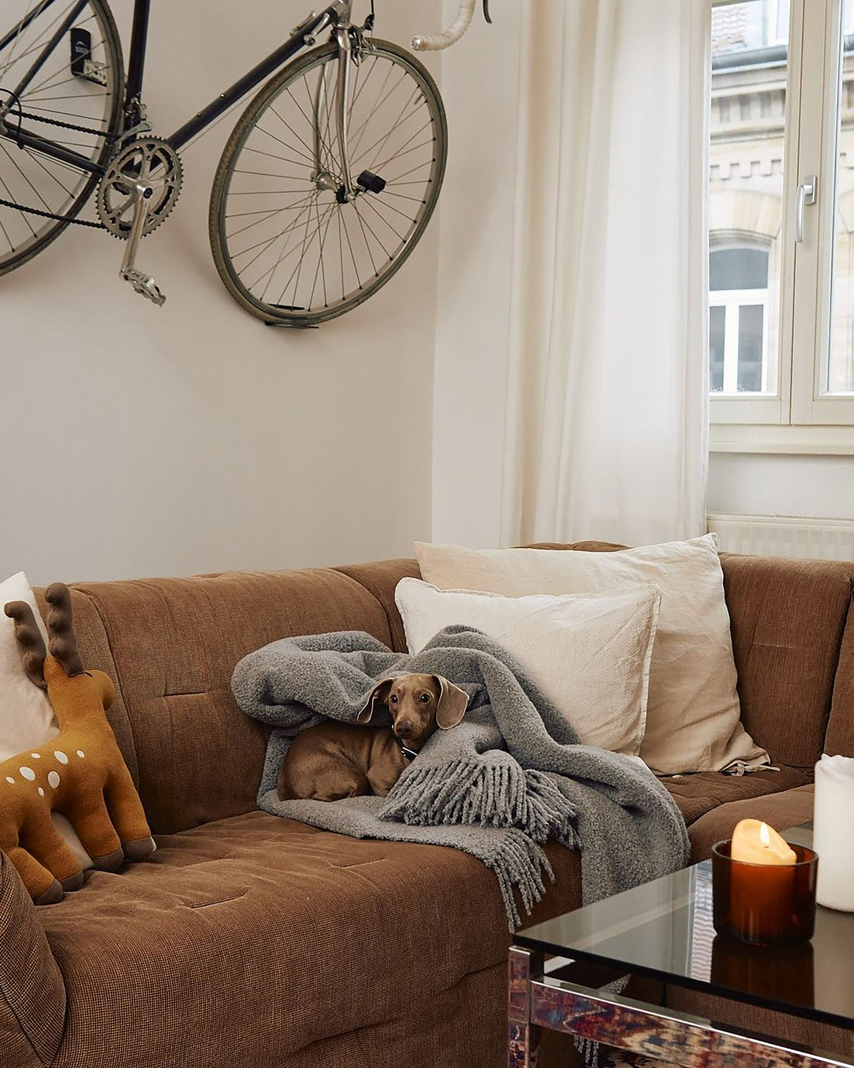 BUCCOLA THROW FAMILY BLANKET | שמיכה לכלב, לחתול ולבעלים