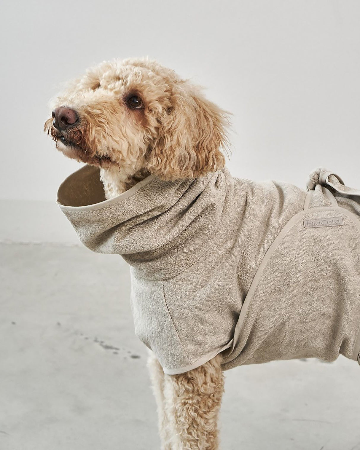 חלוק רחצה לכלב מכותנה אורגנית | BAGNO DOG BATHROBE