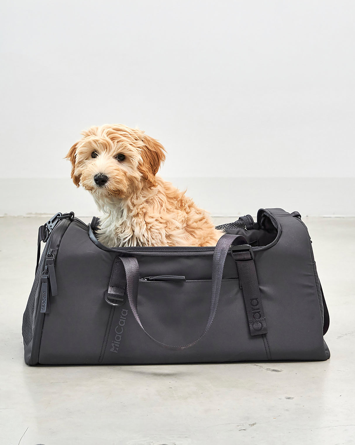 תיק נסיעות לכלב ולחתול (מתאים לטיסה) | VOLATA PET CARRIER BAG