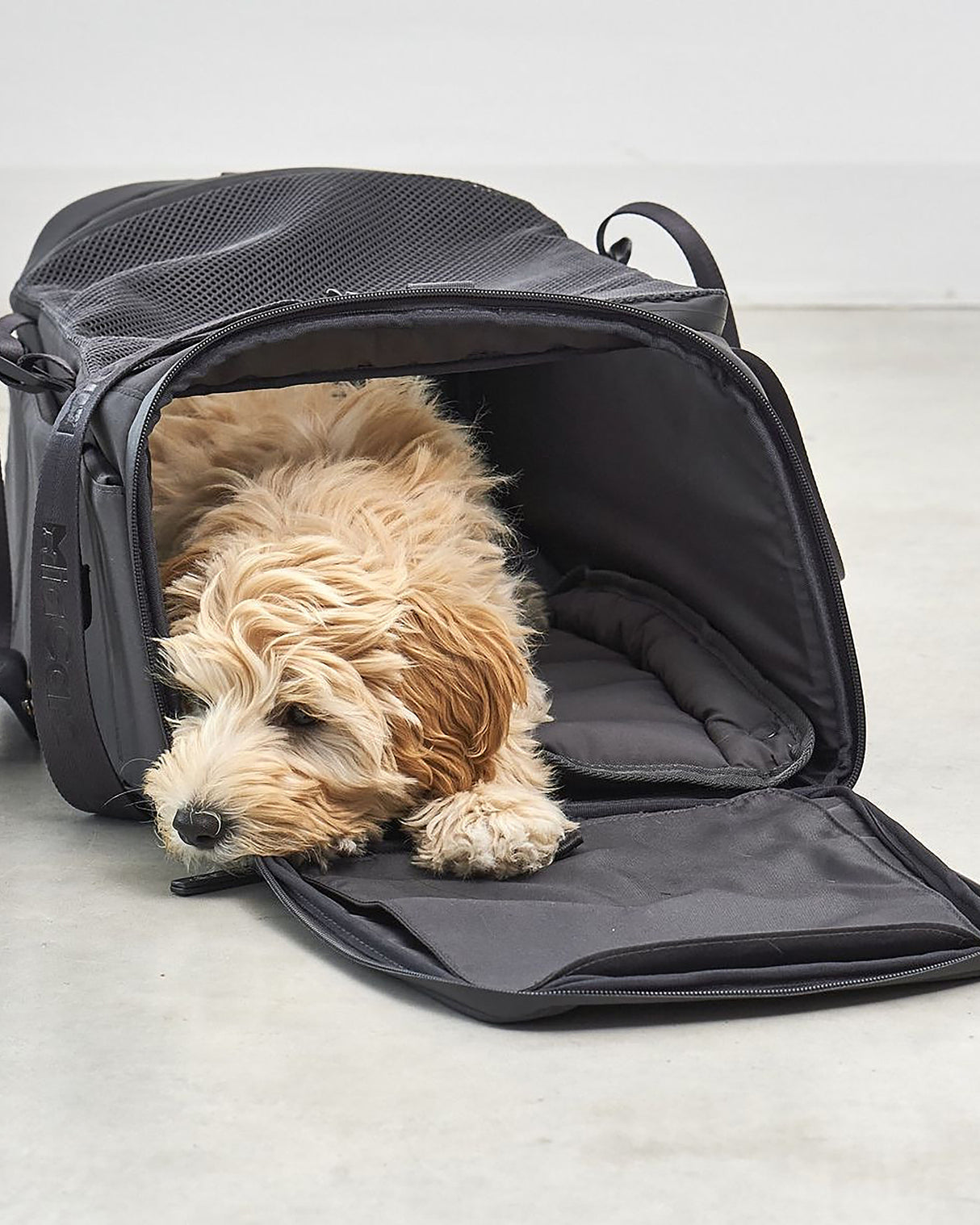 תיק נסיעות לכלב ולחתול (מתאים לטיסה) | VOLATA PET CARRIER BAG