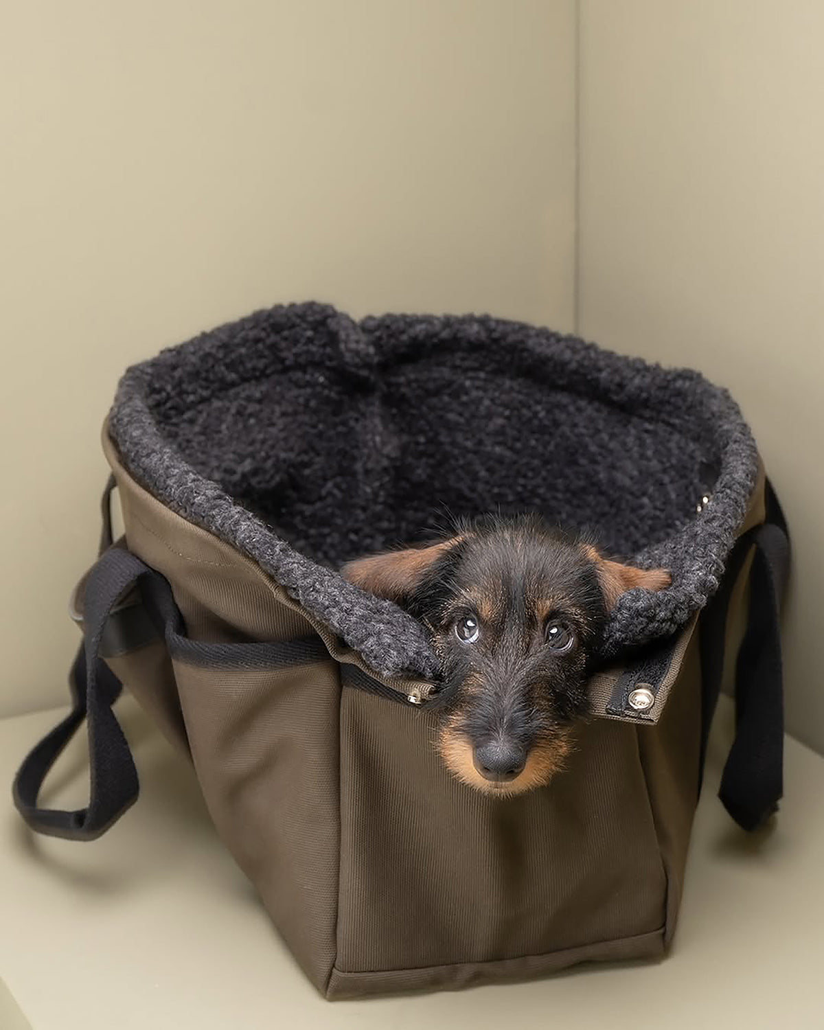תיק נשיאה לכלב או תיק לבעלים