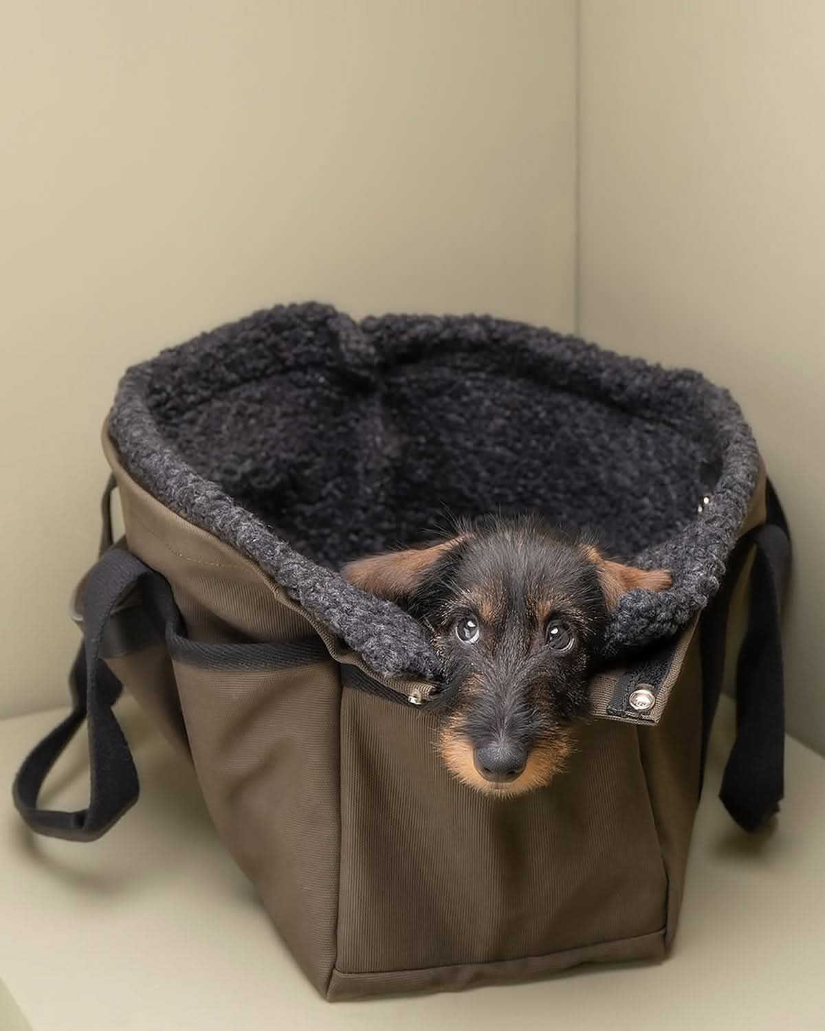 תיק נשיאה לכלב או תיק לבעלים