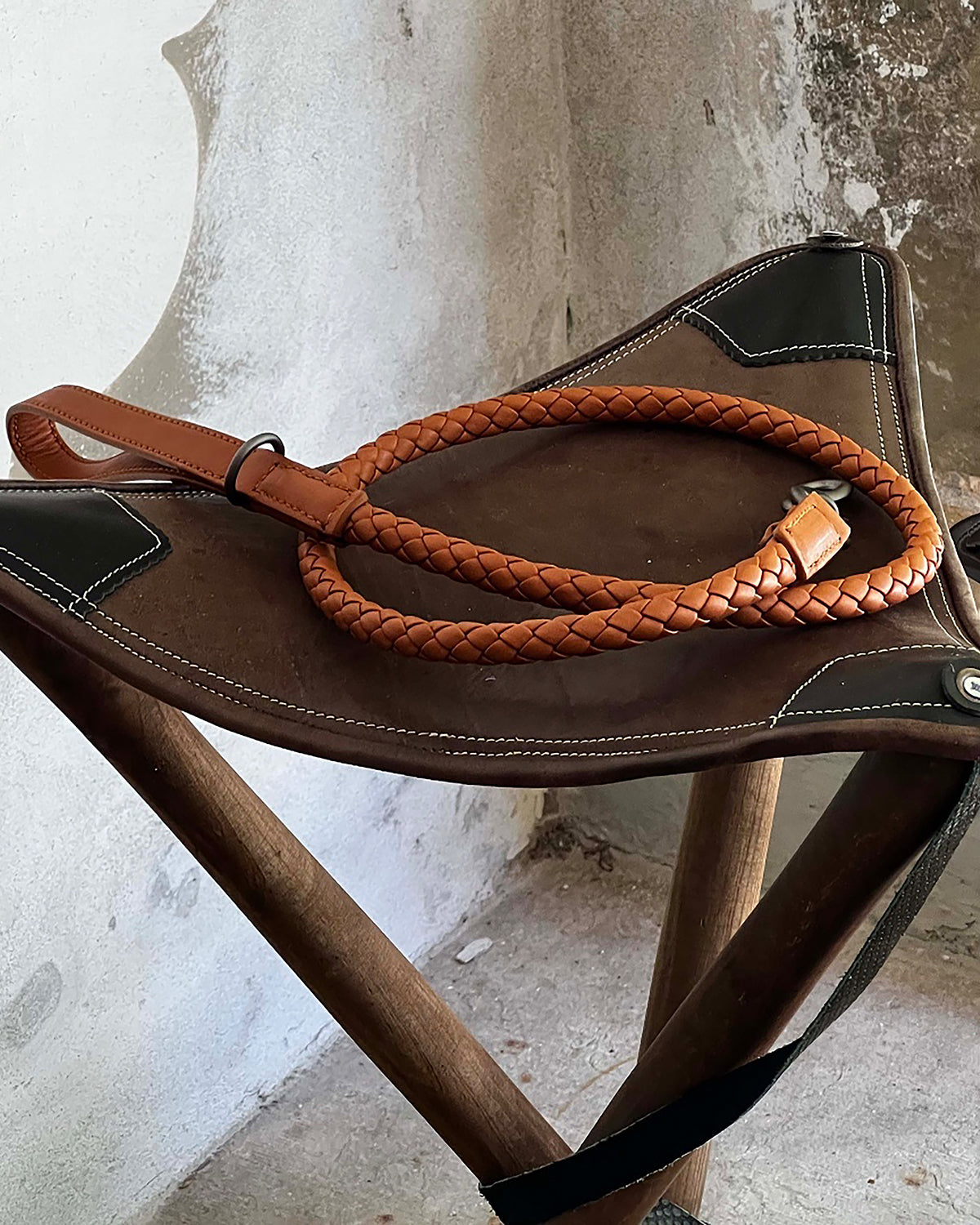 רצועת עור לכלב