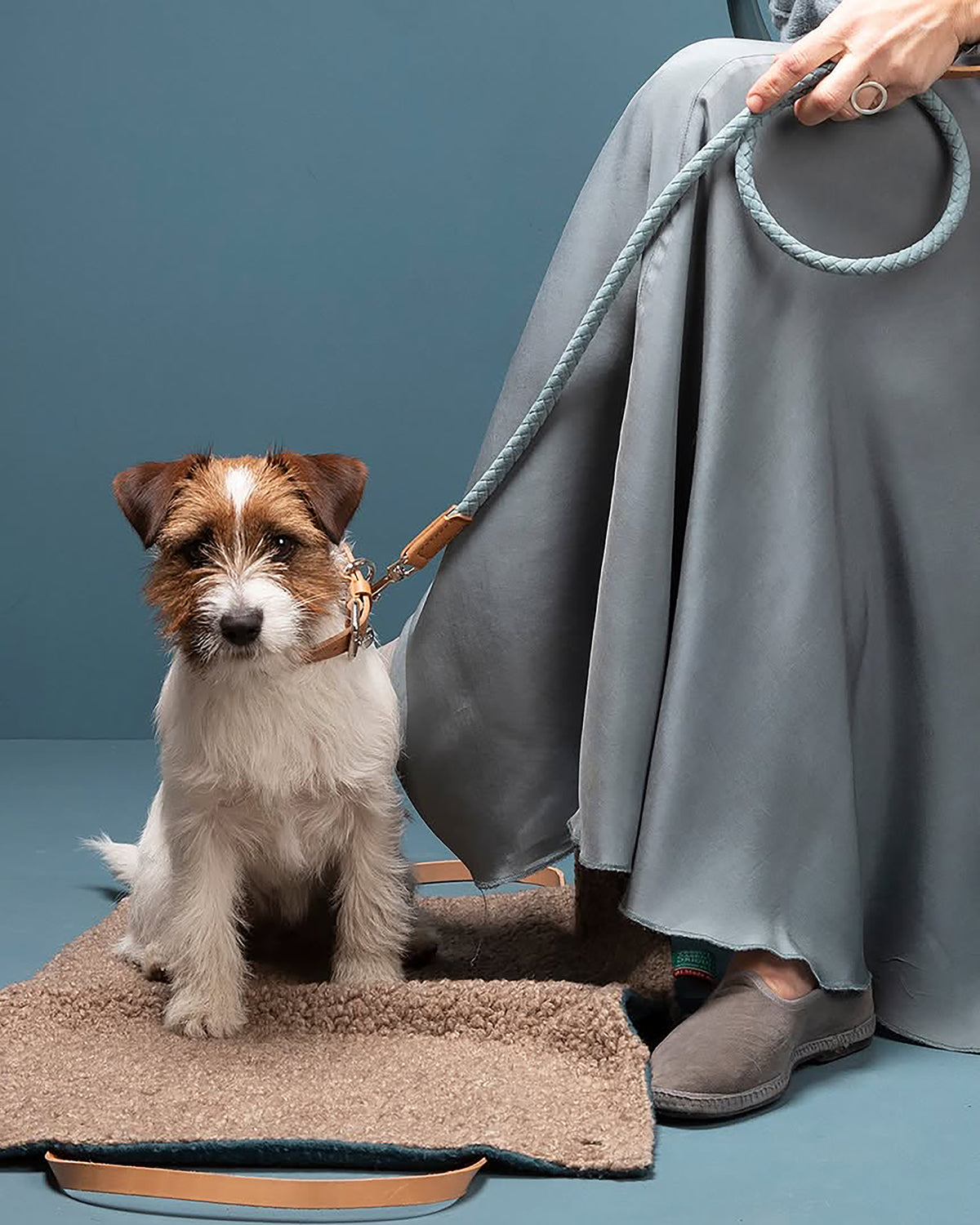 רצועת עור טבעוני לכלב