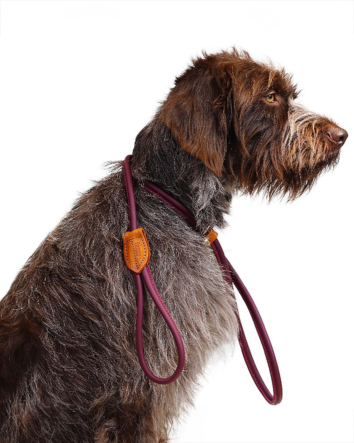 ROLLED SOFT LEATHER LEAD | רצועת עור לכלב