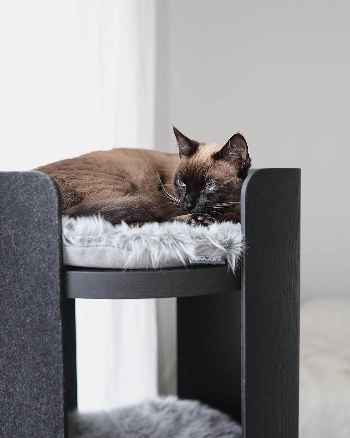 TORRE CLIMBING & SCRATCHING CAT POST | מגדל טיפוס וגירוד לחתולים