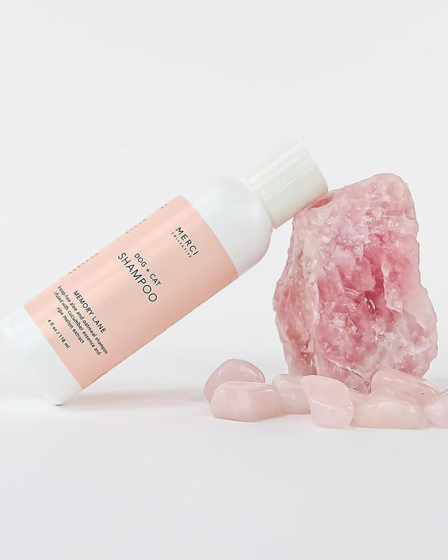 שמפו לכלב, שמפו לחתול