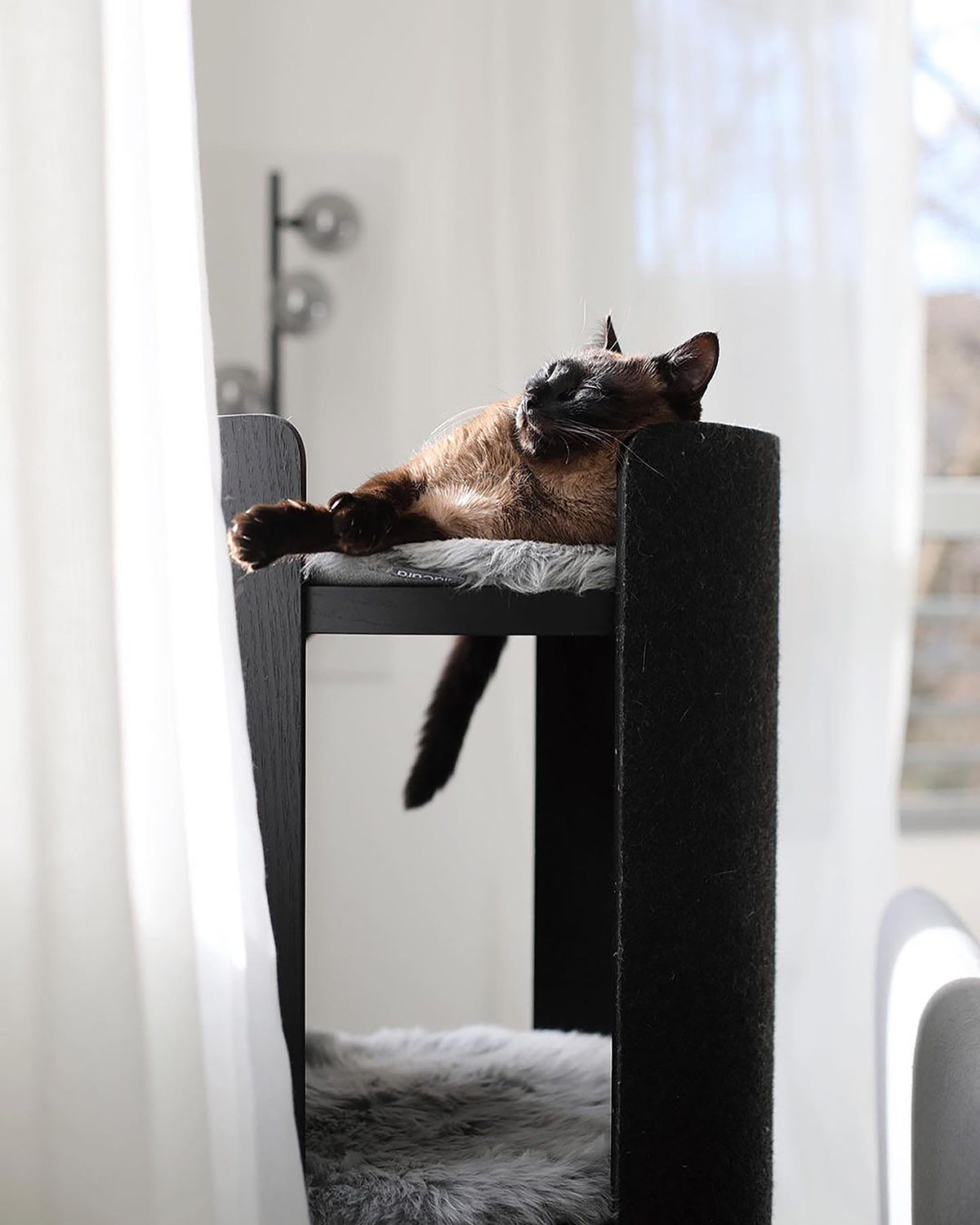 TORRE CLIMBING & SCRATCHING CAT POST | מגדל טיפוס וגירוד לחתולים