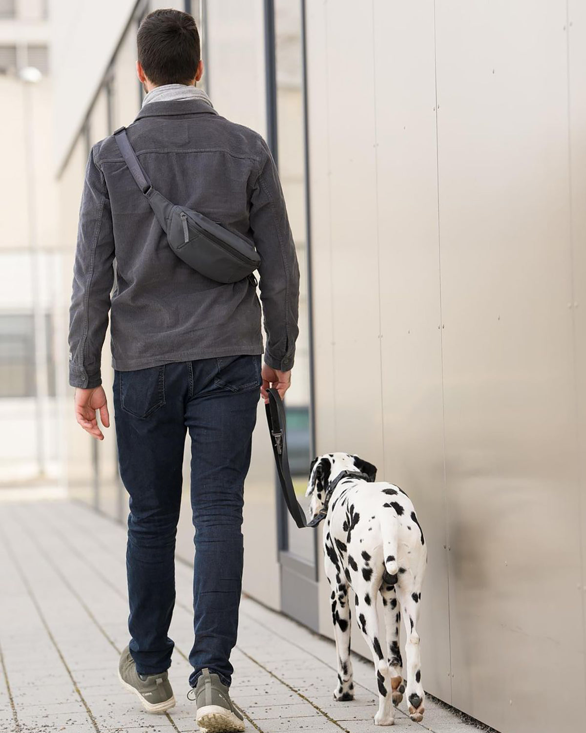 CINTA DOG OWNERS BAG | פאוץ׳ הליכות לבעלי כלבים