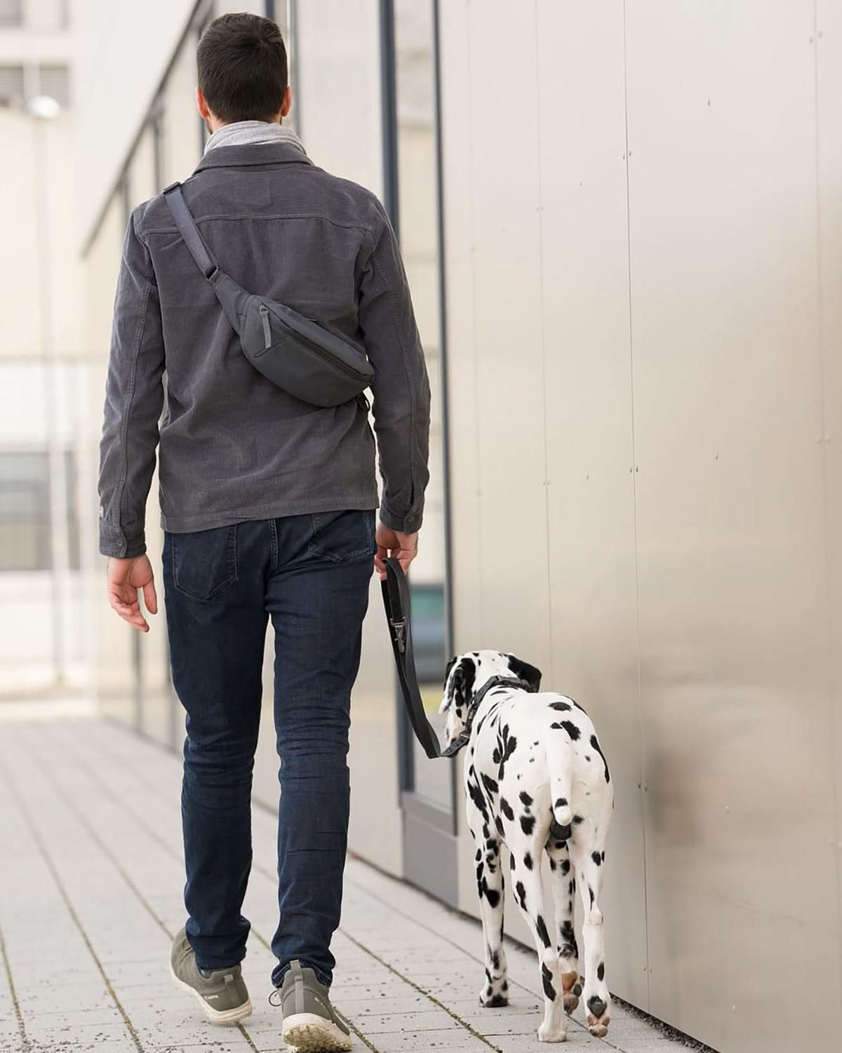 CINTA OWNERS WALKING BAG | פאוץ׳ לבעלי כלבים