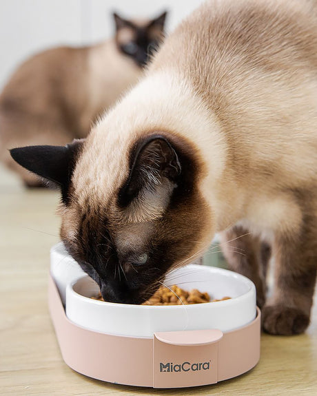 סט קערות לחתול וכלב