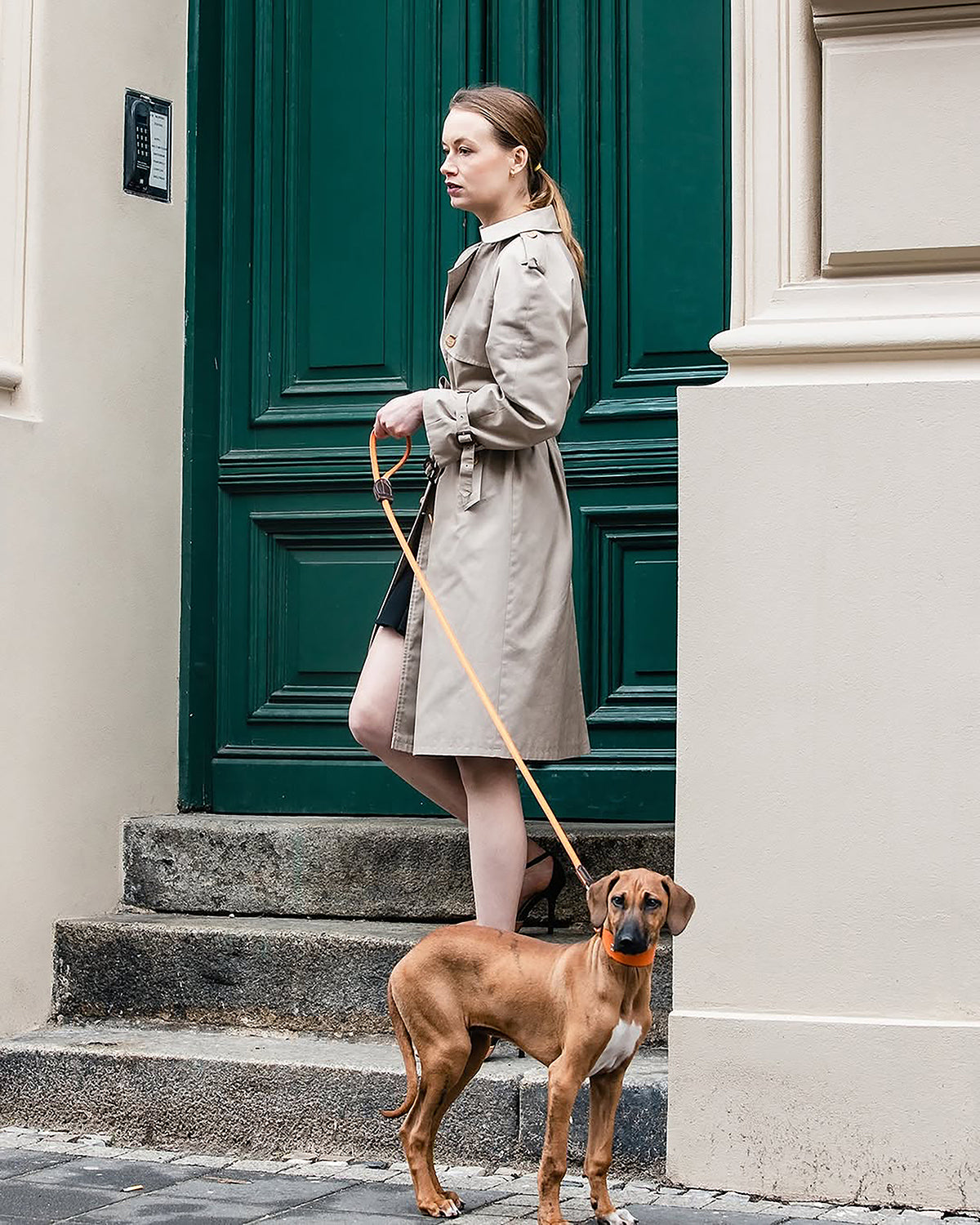 HOUND SOFT LEATHER COLLAR | קולר מעור לכלב