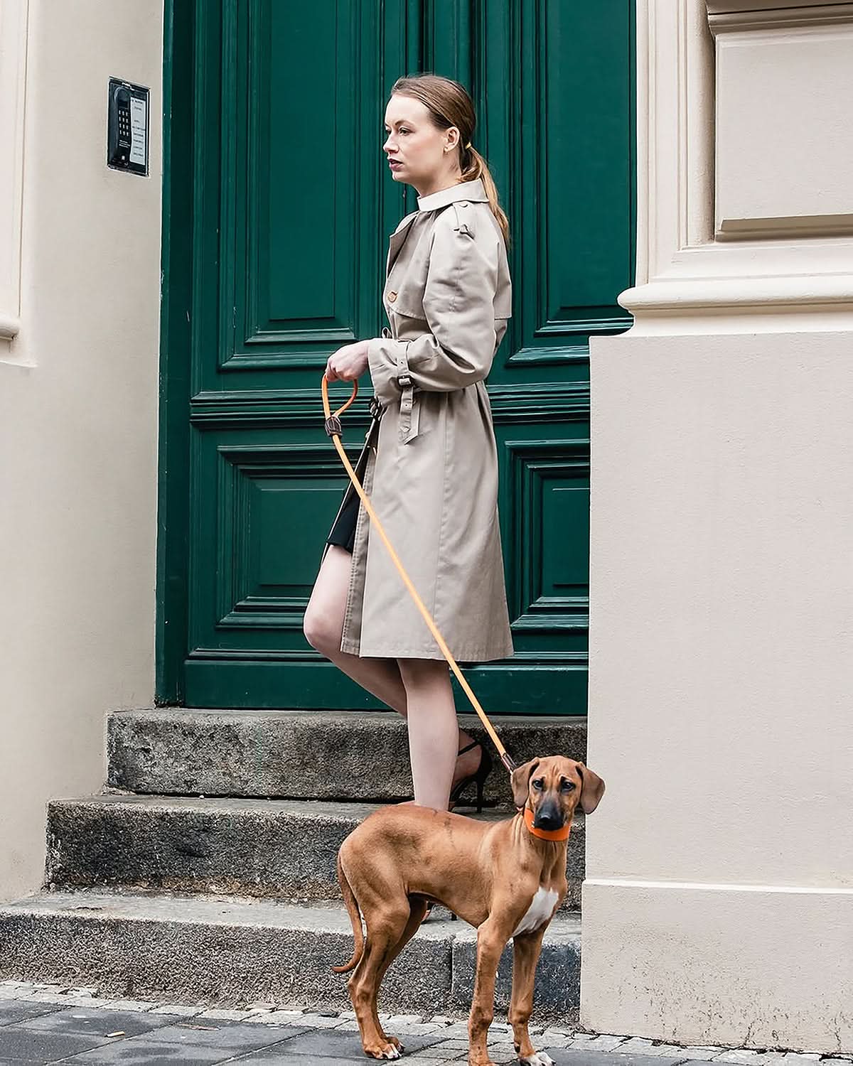 HOUND SOFT LEATHER COLLAR | קולר מעור לכלב