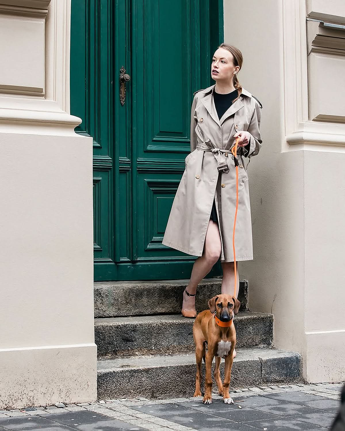 HOUND SOFT LEATHER COLLAR | קולר מעור לכלב