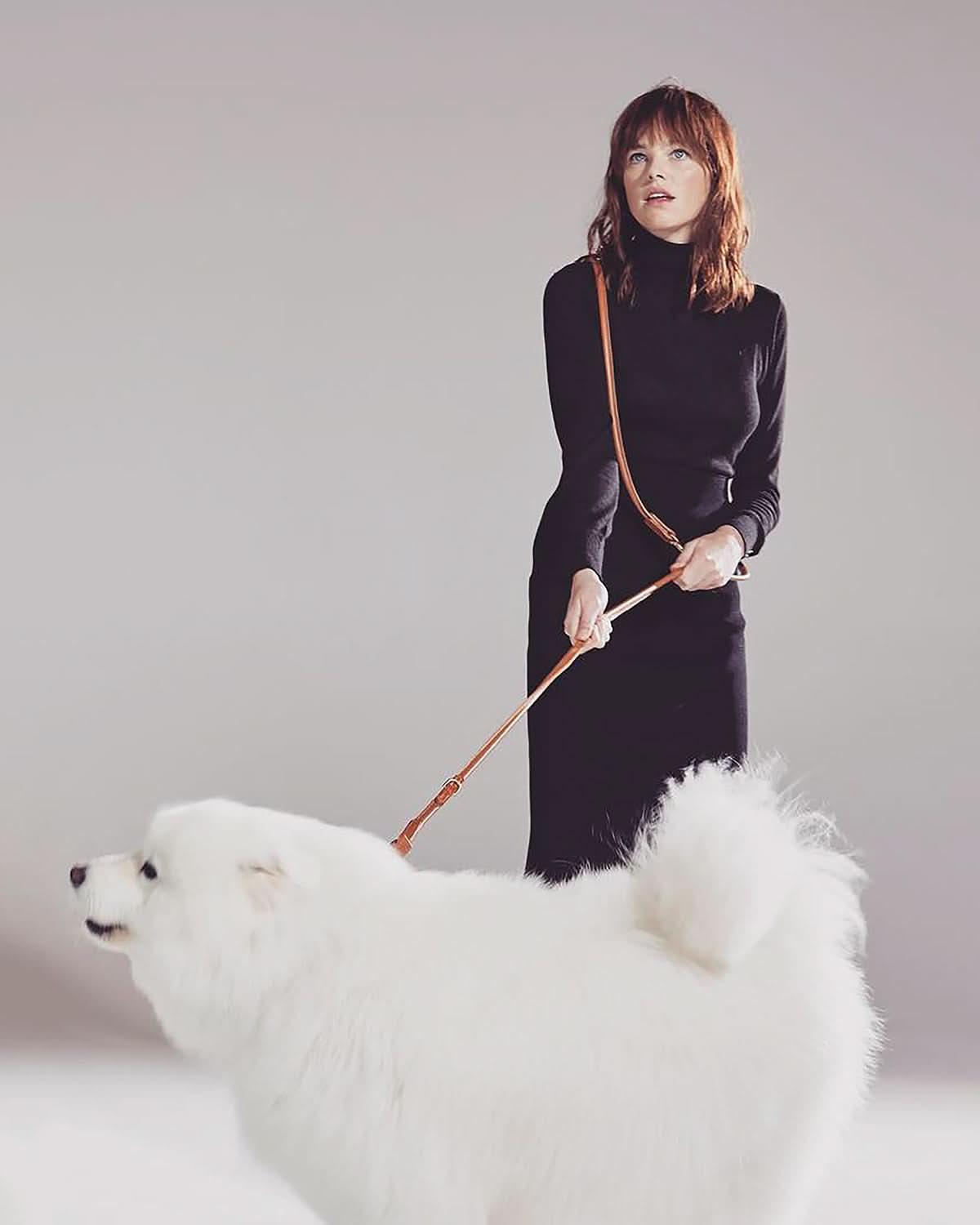 רצועות ארוכות לכלבים