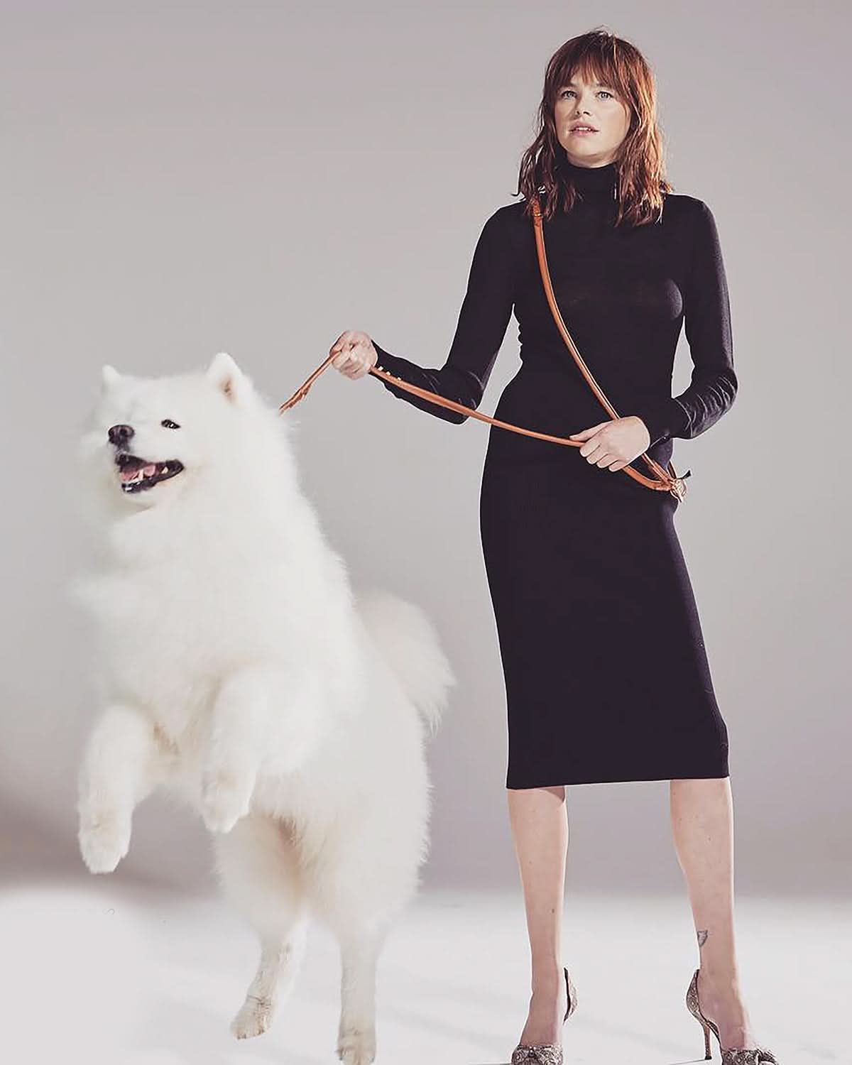 רצועות ארוכות לכלבים