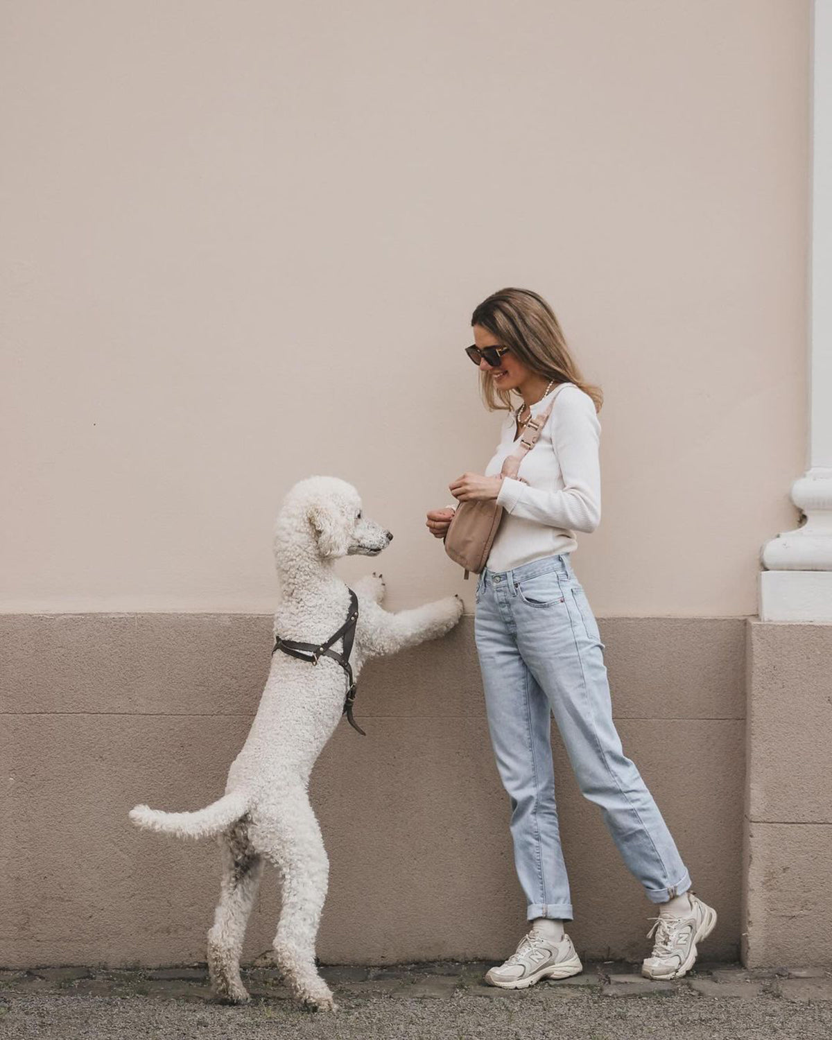 CINTA DOG OWNERS BAG | פאוץ׳ הליכות לבעלי כלבים