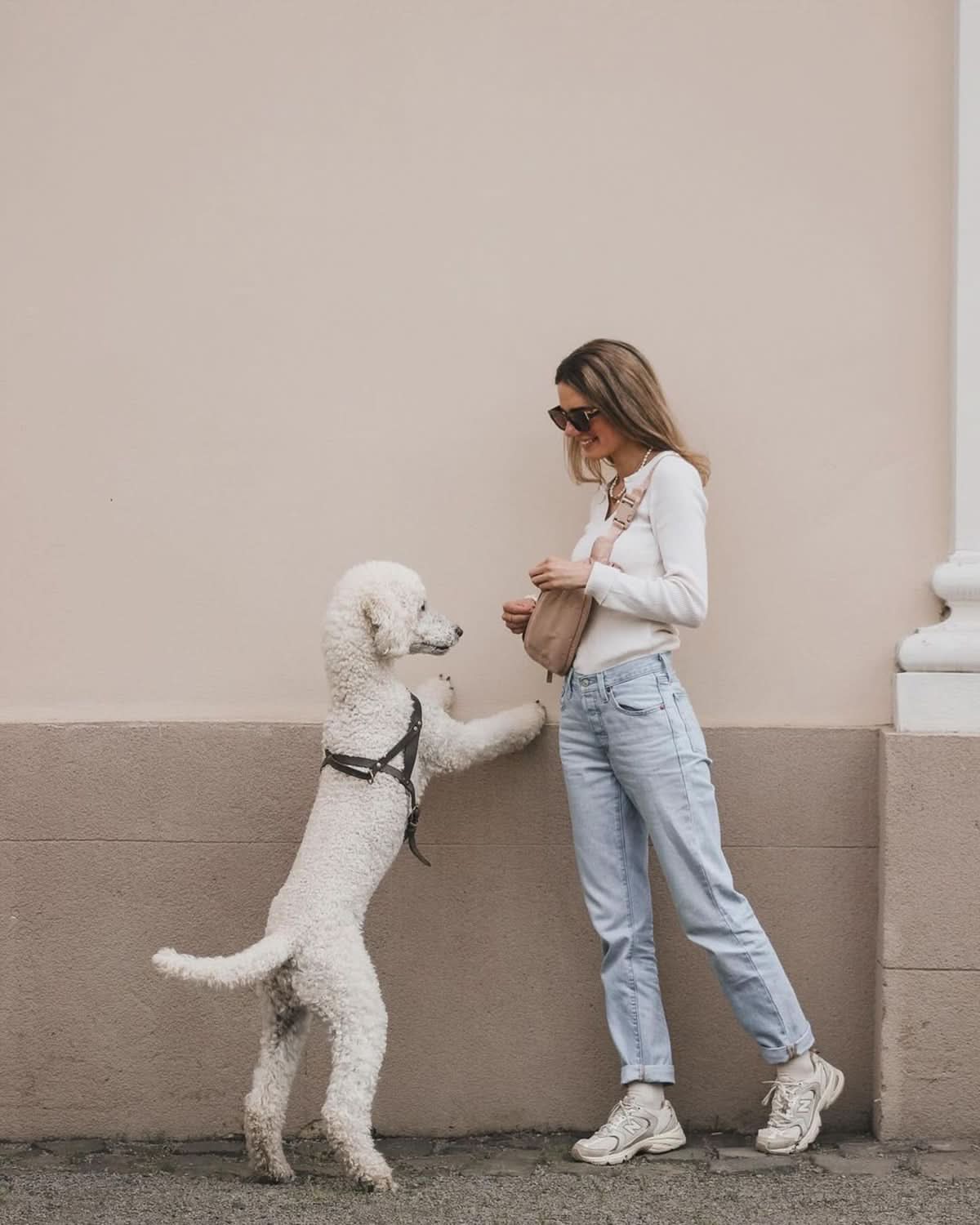 CINTA OWNERS WALKING BAG | פאוץ׳ לבעלי כלבים