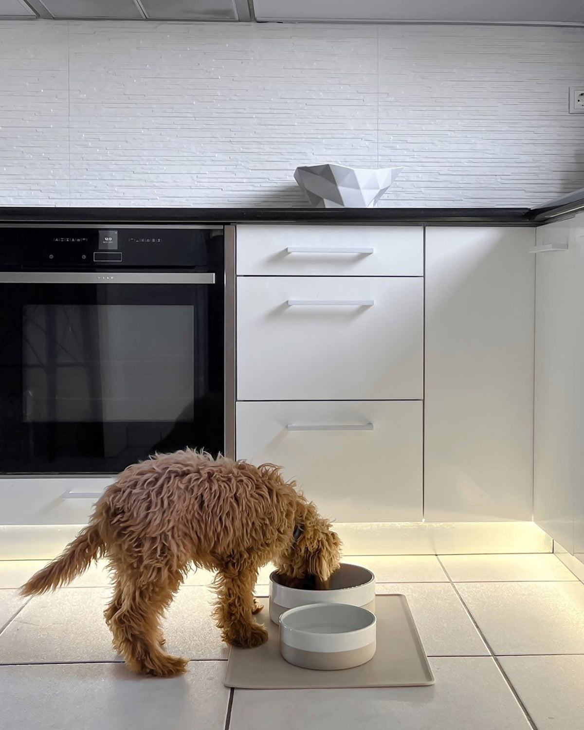 קערות מים ואוכל לכלבים וחתולים