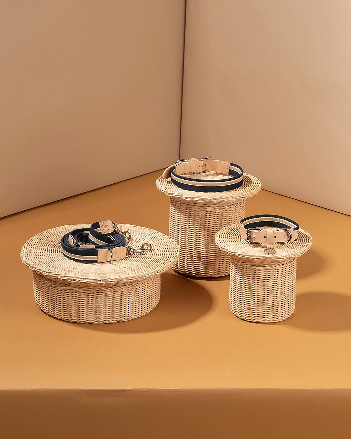 רצועות ארוכות לכלבים