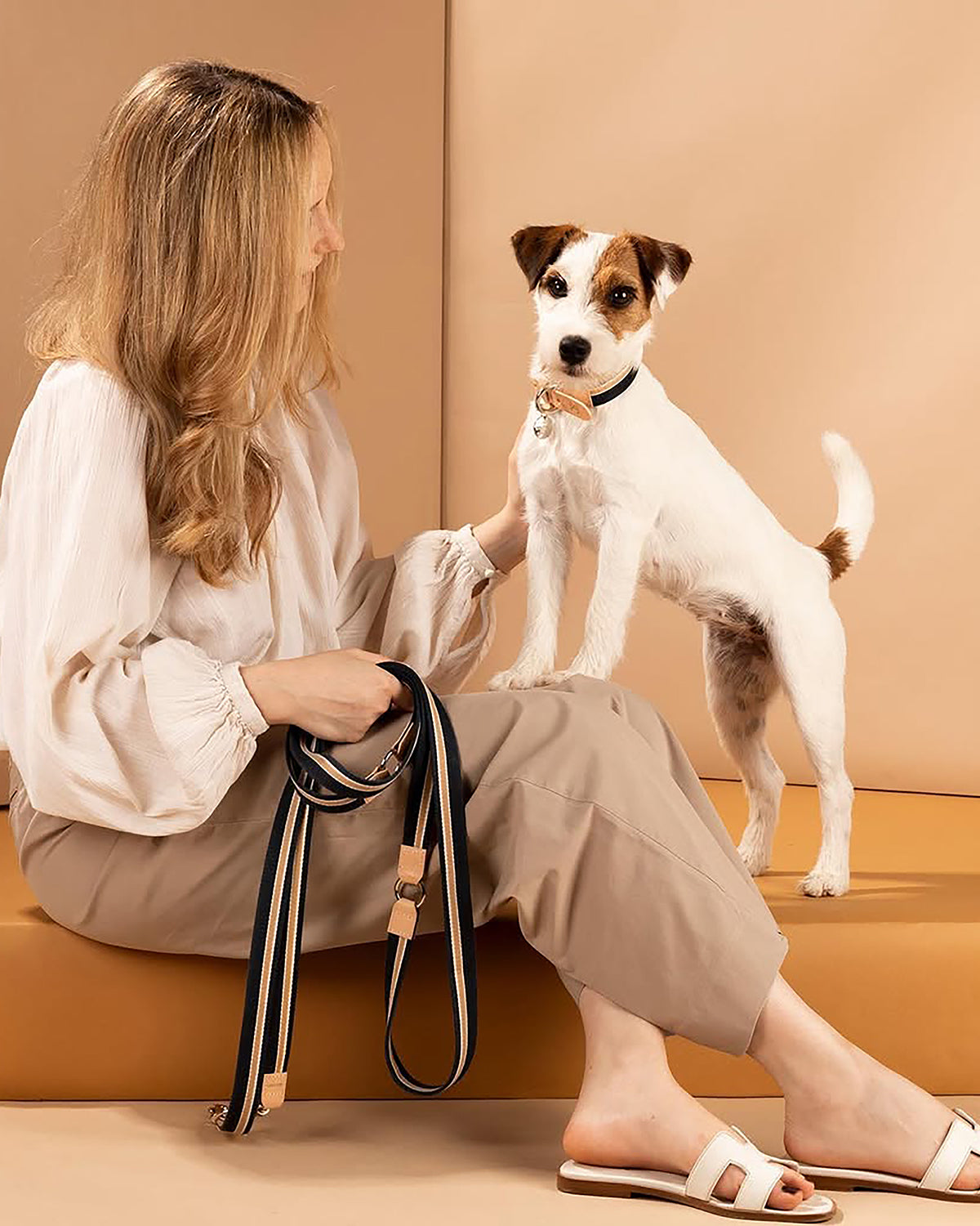 קולר לכלבים