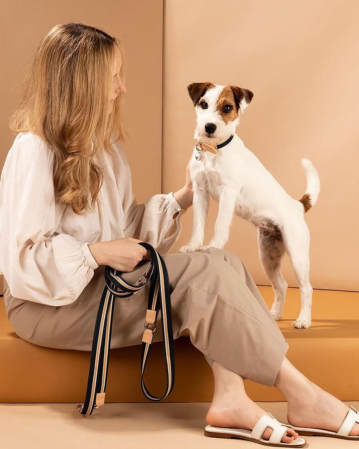 רצועות ארוכות לכלבים