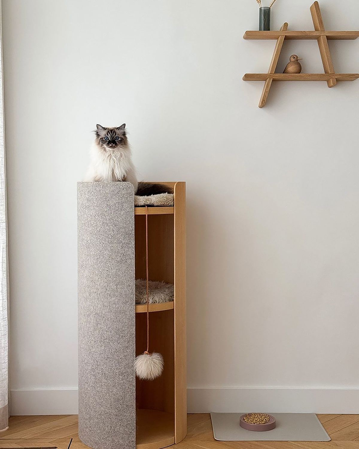 TORRE CLIMBING & SCRATCHING CAT POST | מגדל טיפוס וגירוד לחתולים