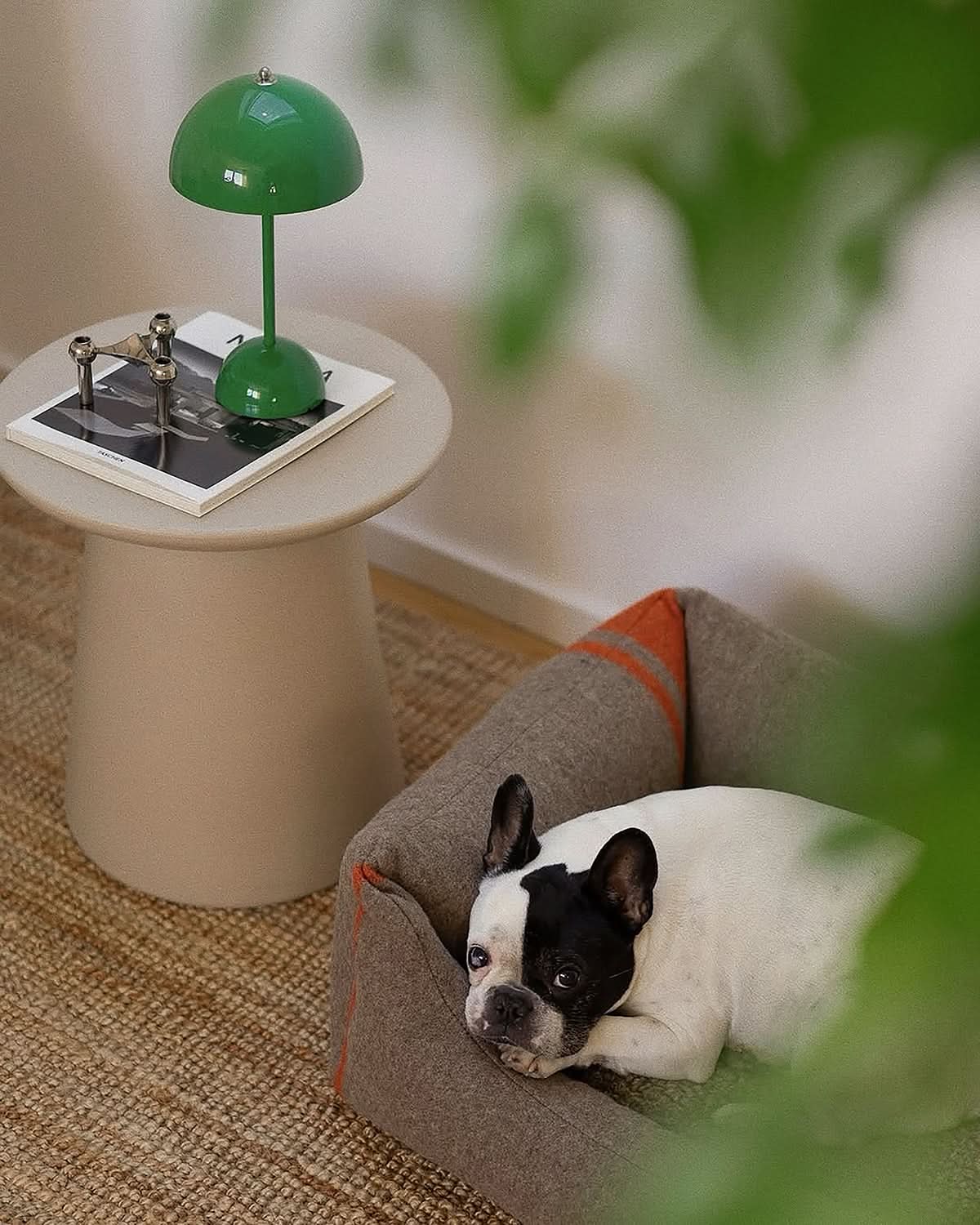 HENRI RECYCLED WOOL DOG BED | מיטה לכלב