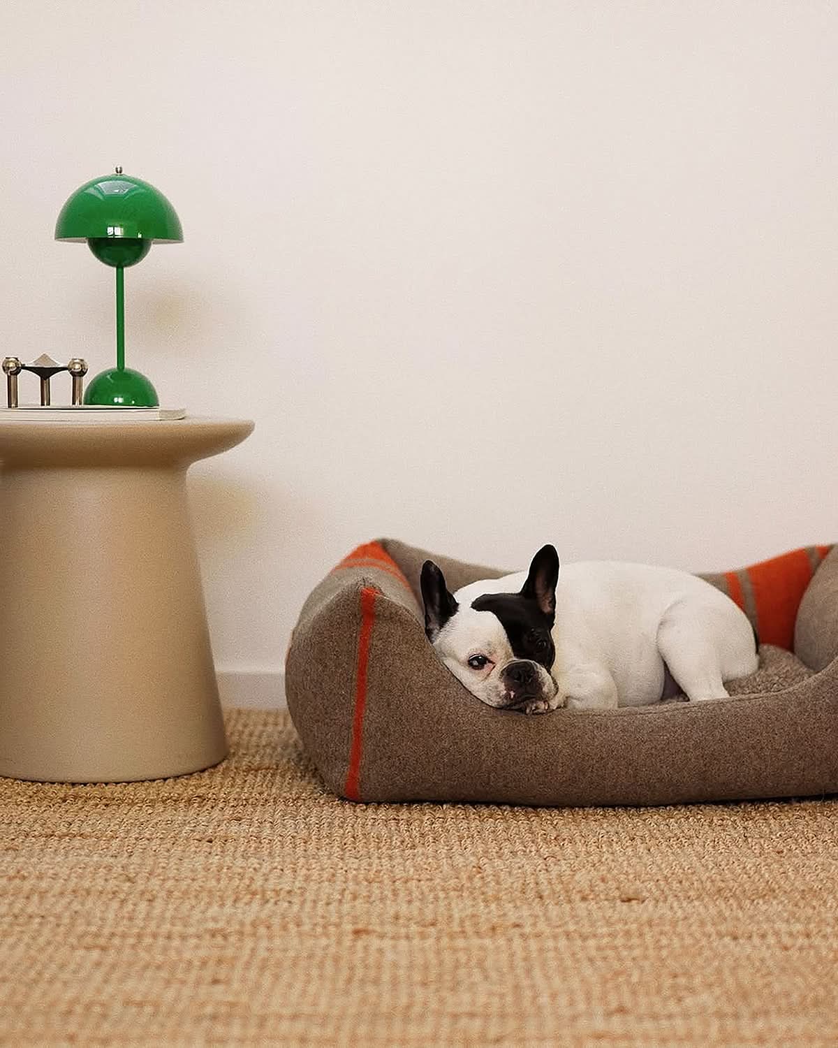 HENRI RECYCLED WOOL DOG BED | מיטה לכלב
