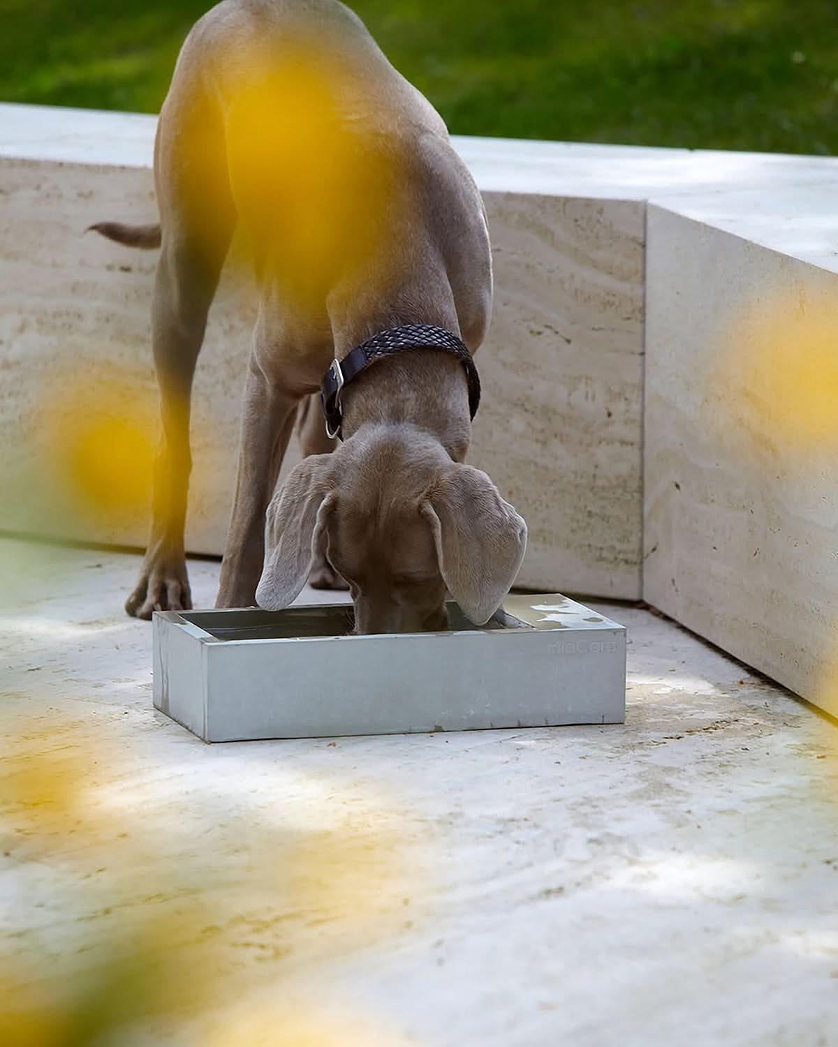 TROGOLO OUTDOOR WATER BOWL | קערת מים לחצר לכלב ולחתול