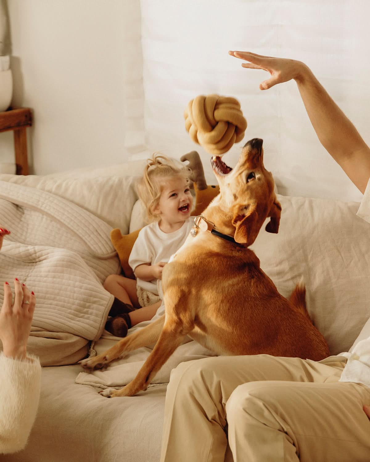 TUBO ACTIVITY TOY | צעצוע הפעלה לכלב