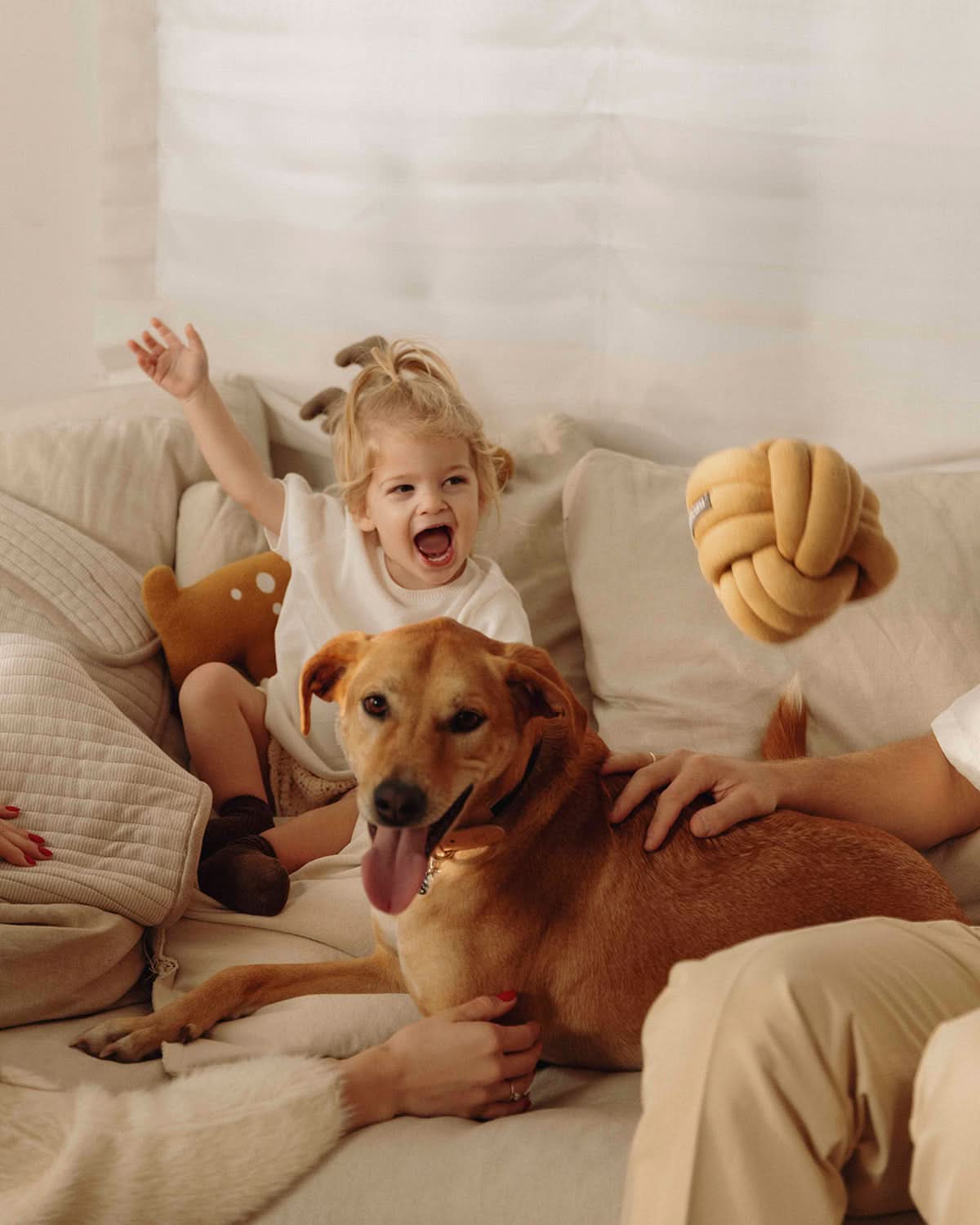 TUBO ACTIVITY TOY | צעצוע הפעלה לכלב