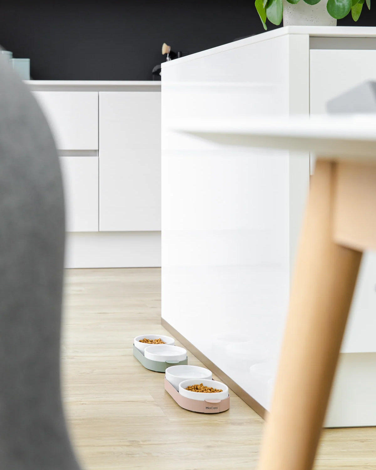 סט קערות לחתול וכלב