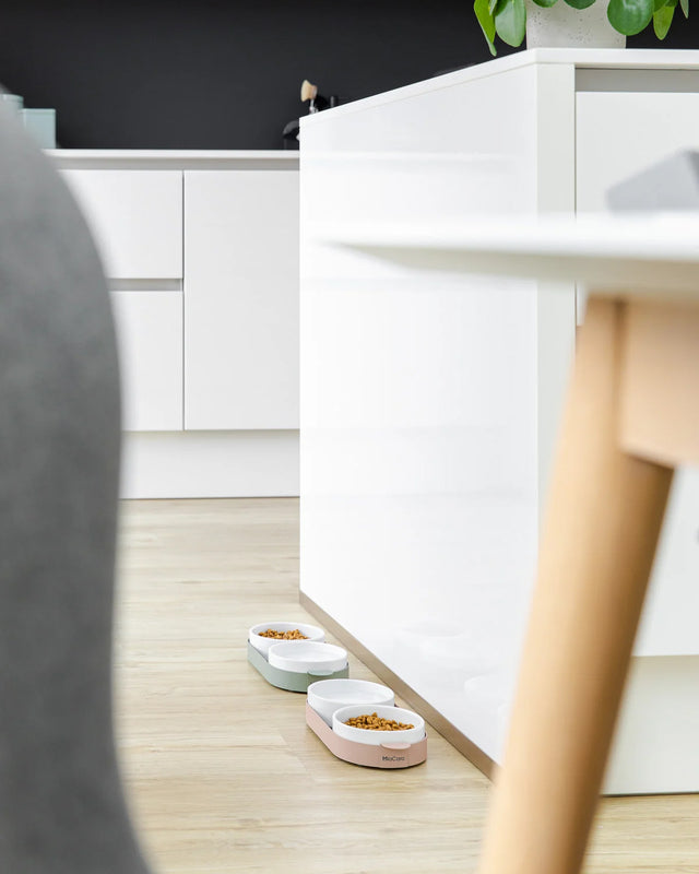 סט קערות לחתול וכלב