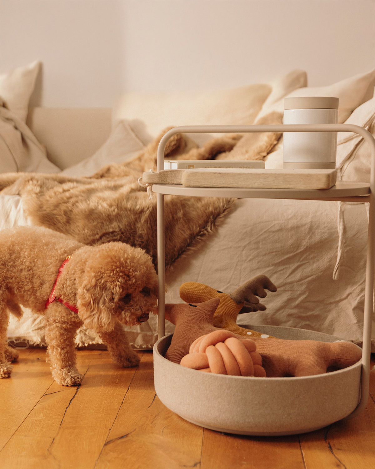 BOSCO TOYS | בובות חיות יער לכלב