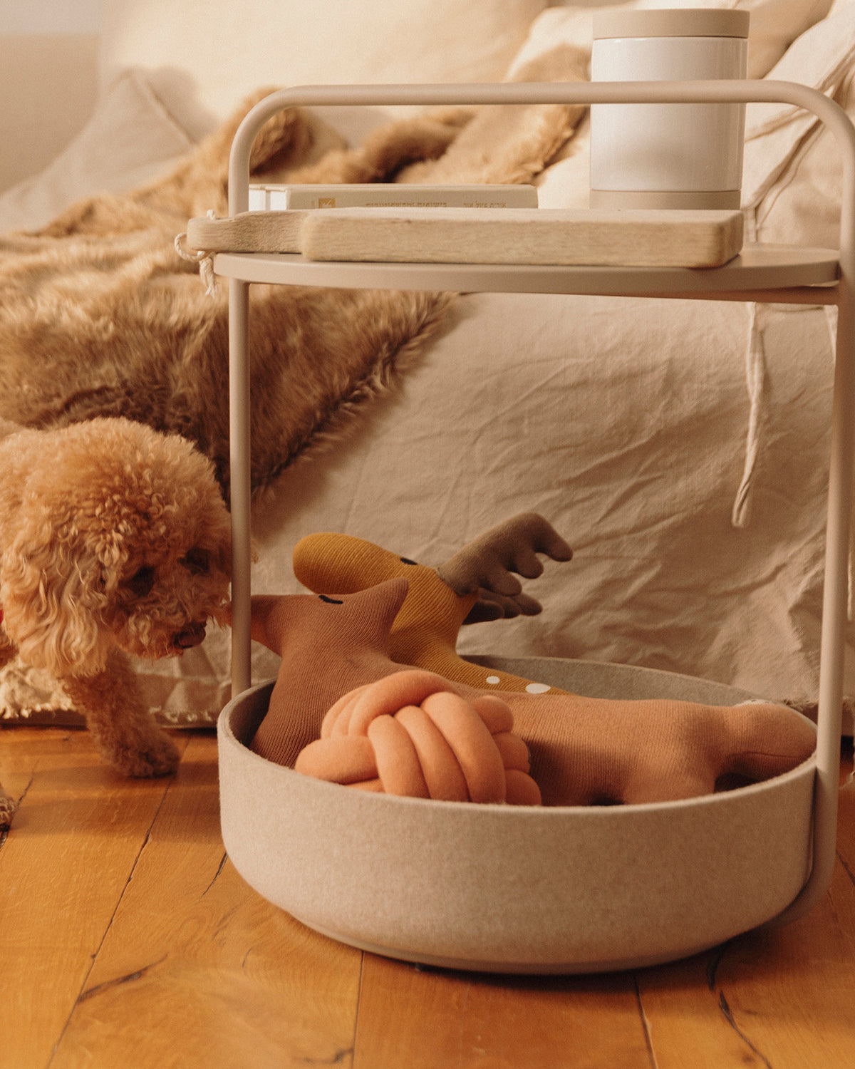 TAVOLINO SIDE TABLE | שולחן קפה / מיטה לכלב