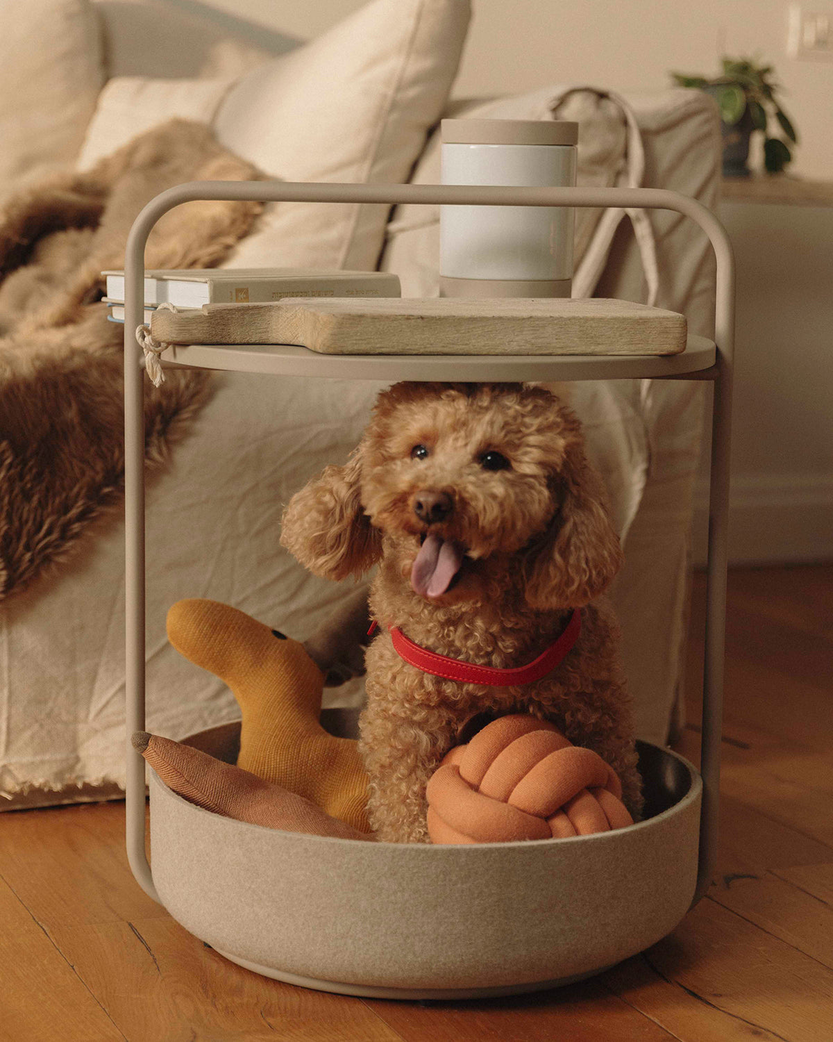 BOSCO TOYS | בובות חיות יער לכלב