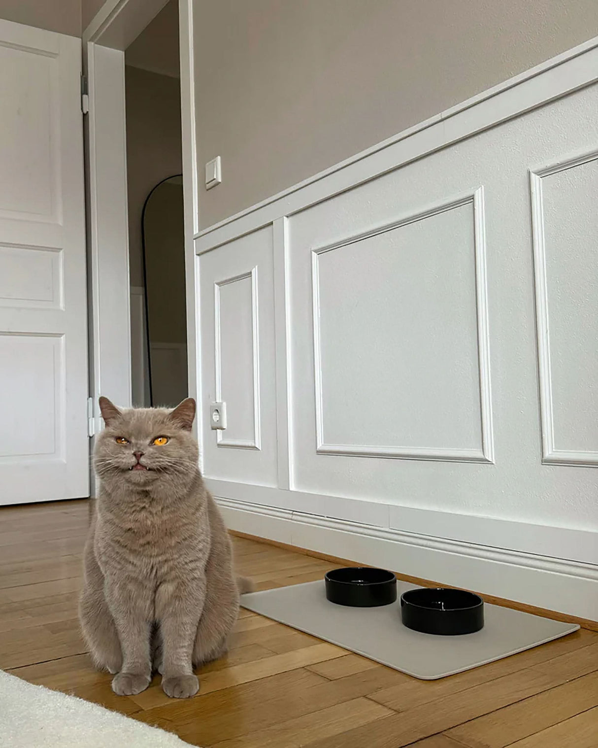 SCODELLA CAT BOWL | קערת פורצלן לחתול