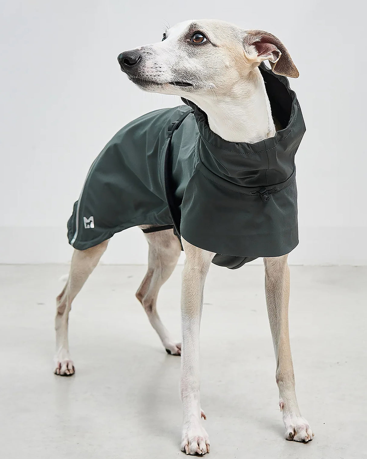 VALENTINA DOG RAINCOAT | מעיל גשם ורוח לכלב