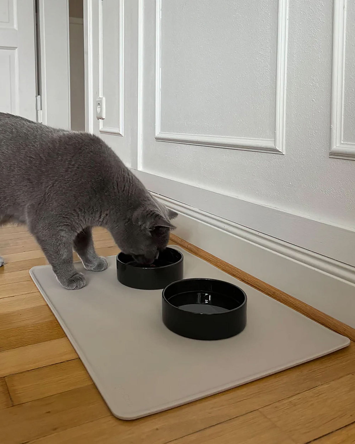 SCODELLA CAT BOWL | קערת פורצלן לחתול